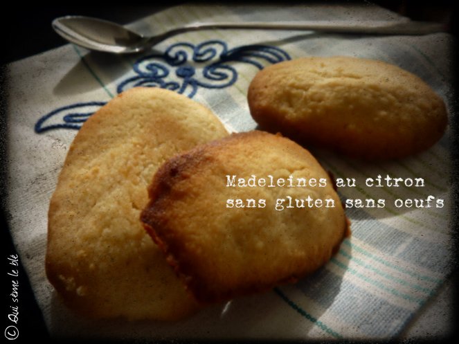 madeleines sans gluten sans oeufs1